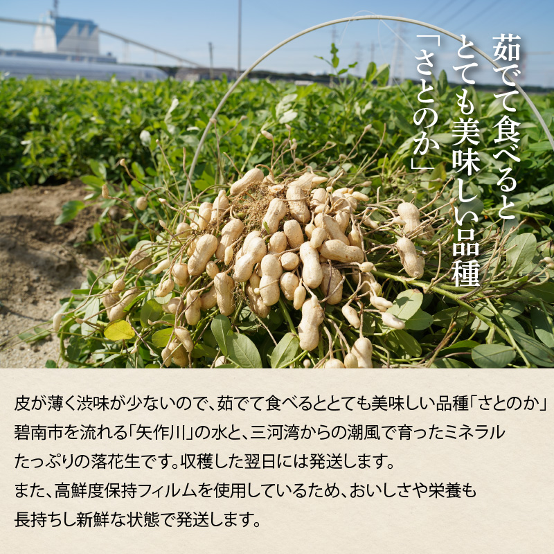 生落花生 さとのか 2kg 高鮮度保持フィルム使用　耕地の美味しい野菜シリーズ第5弾　H132-029