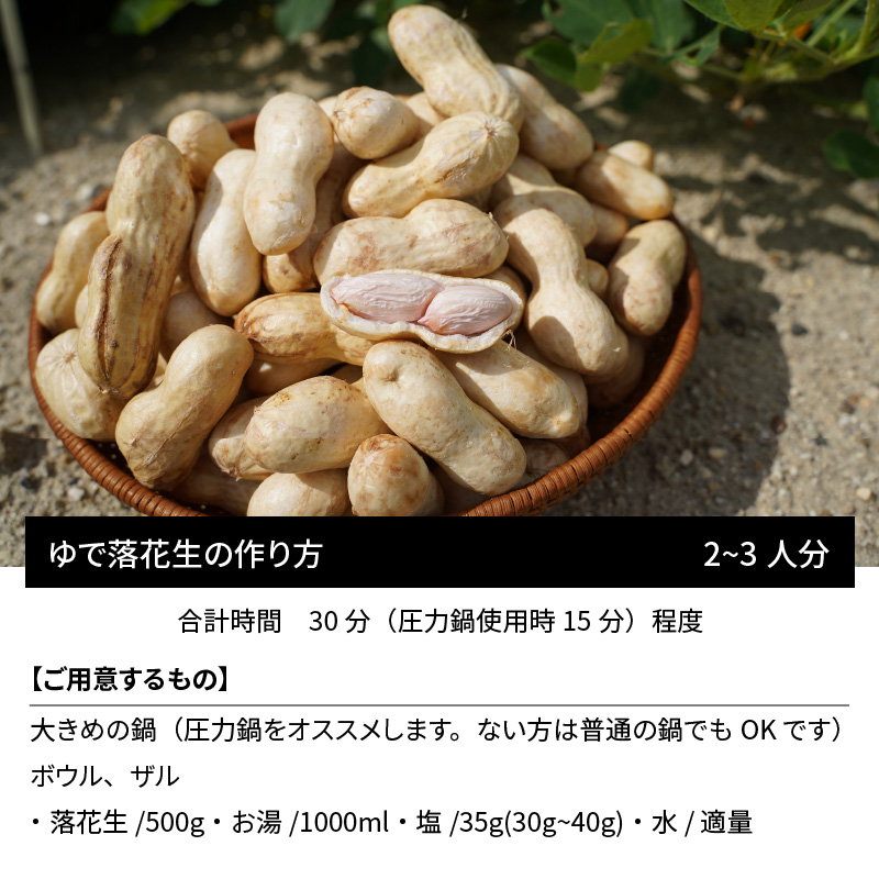 生落花生 さとのか 2kg 高鮮度保持フィルム使用　耕地の美味しい野菜シリーズ第5弾　H132-029
