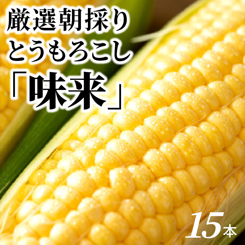 厳選朝採り とうもろこし(スイートコーン)「味来」 15本 甘い 柔らかい 安心 安全 新鮮 早朝収穫 野菜 夏野菜 大容量　H017-092