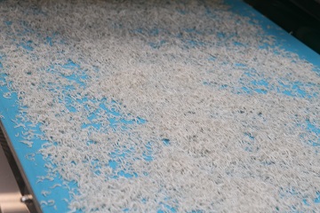 【12月18日受付分まで年内発送】しらす屋のしらす干し500g　H006-075