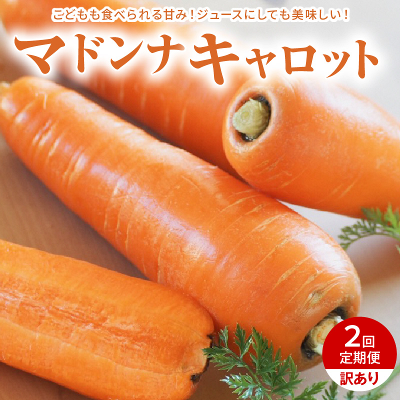 【予約受付】＜フジテレビ『どっちのふるさと？』で紹介されました！＞ 訳あり 2回定期便 にんじん 1月2月お届け マドンナキャロット　H105-163