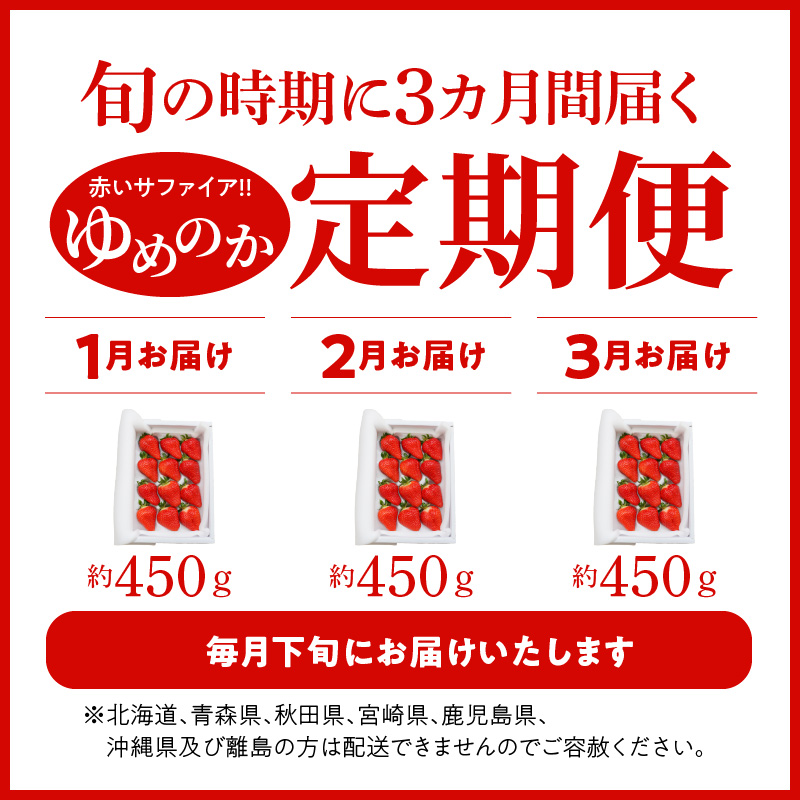 【いちご定期便】（1月2月3月お届け）まるで赤いサファイア!!丹精込めた完熟いちご!! 約450g×3回　H130-013