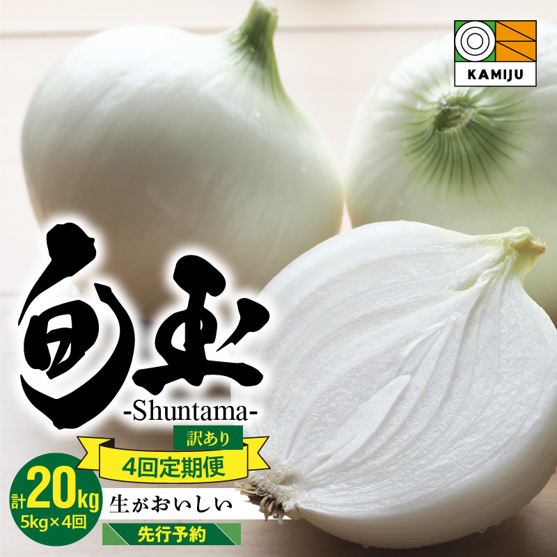(2026年発送)訳あり 新玉ねぎ 定期便 5kg×4回　生がおいしい 神重農産のブランド玉ねぎ「旬玉」　H105-129