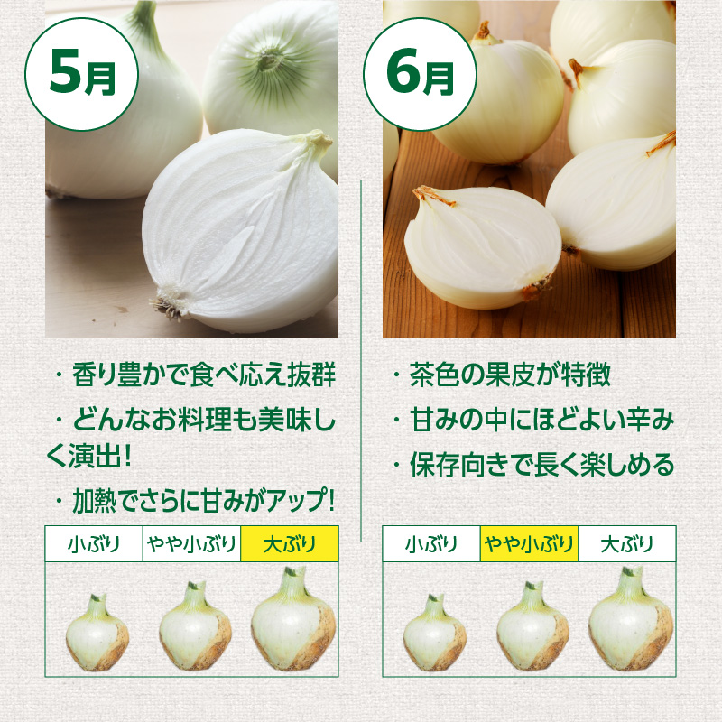 訳あり 新玉ねぎ 定期便 5kg×4回　生がおいしい 神重農産のブランド玉ねぎ「旬玉」　H105-129