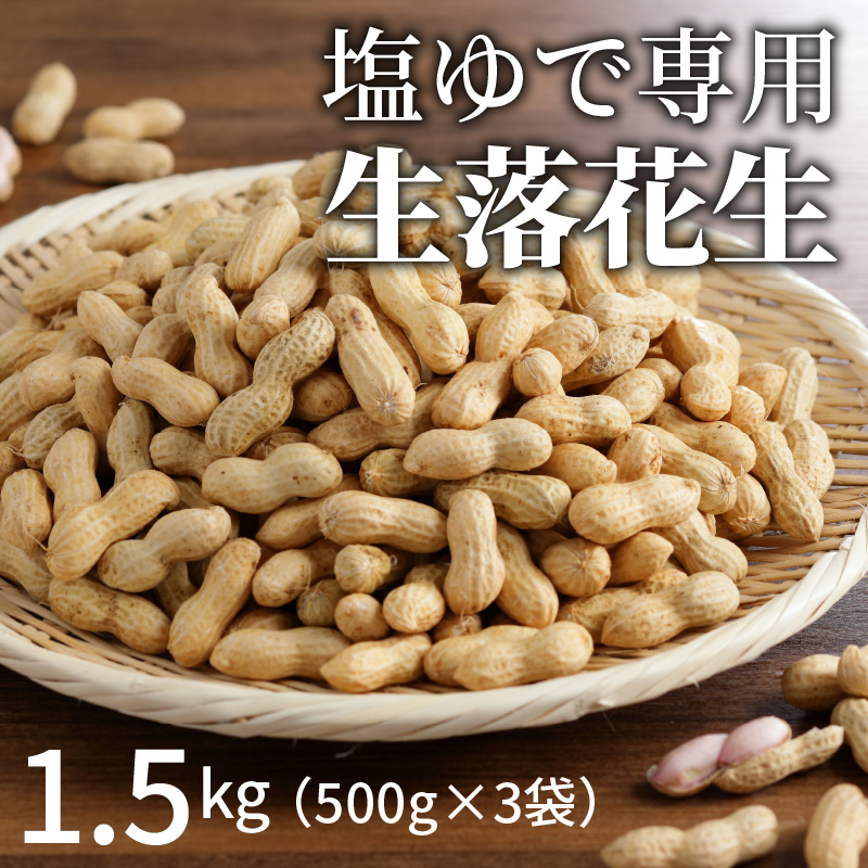 【2025年発送】事前予約 やみつき極うま “金の生落花生” 1.5kg(500g×3袋) 生ピーナッツ 塩ゆで専用　H105-142