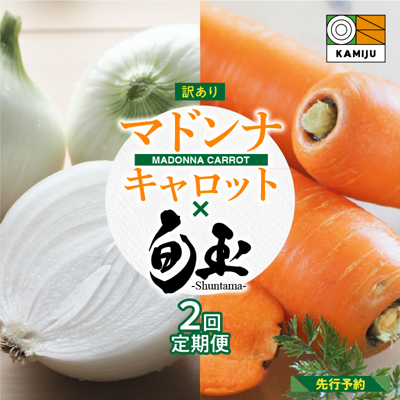 （2027年発送：先行受付） ＜日本テレビ『満天☆青空レストラン』で紹介されました！＞訳あり にんじん 新玉ねぎ 定期便 2回　旬の美味しい季節にお届け マドンナキャロット 旬玉　H105-184