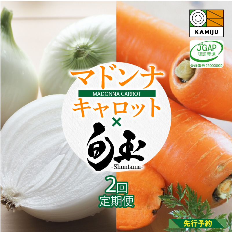 にんじん 新玉ねぎ 定期便 2回　旬の美味しい季節にお届け マドンナキャロット 旬玉　H105-130