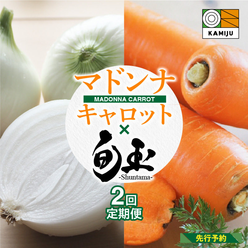 （2027年発送：先行受付） ＜日本テレビ『満天☆青空レストラン』で紹介されました！＞にんじん 新玉ねぎ 定期便 2回　旬の美味しい季節にお届け マドンナキャロット 旬玉　H105-179