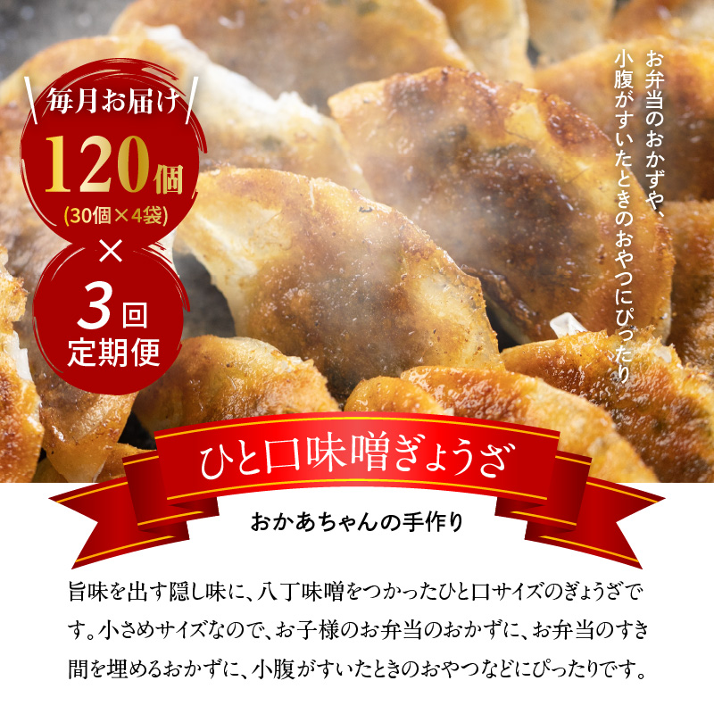 【3ヶ月定期便】居酒屋のおかあちゃん手作り ひと口味噌ぎょうざ　120個（30個×4袋）　H136-040