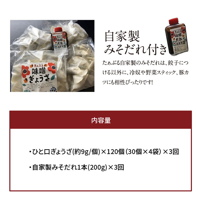 【定期便全3回】3ヶ月に1回お届け 居酒屋のおかあちゃん手作り ひと口味噌ぎょうざ　120個（30個×4袋）　H136-041