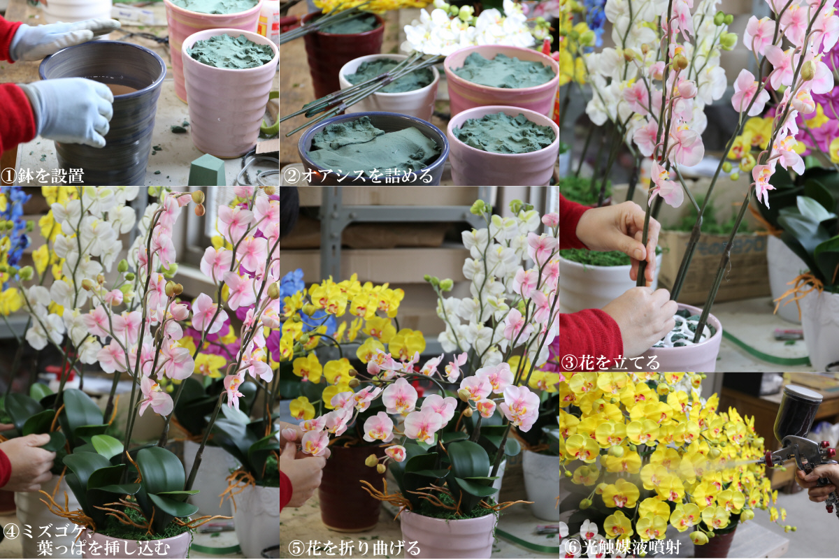 綺麗で丈夫な三河陶器で贈る 光触媒胡蝶蘭小輪３本立 スカイブルーの陶器 青色の花 H100 041 Jalふるさと納税 Jalのマイルがたまるふるさと納税サイト