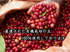 希少！有機栽培の豆100％　ドリップバッグコーヒー(ホット10袋) お試し　H046-008
