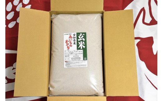 【定期便】愛知県産 あいちのかおり 玄米 10kg×12回（計120kg） H017-075