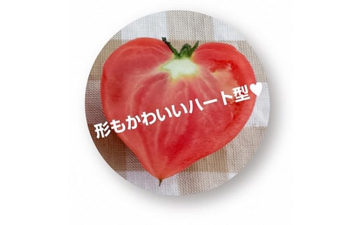 【人気No.1セット】ファンにならずにいられない ファーストトマト＆トマトベリー 計約1.4kｇ（3月～5月で発送）　H004-149