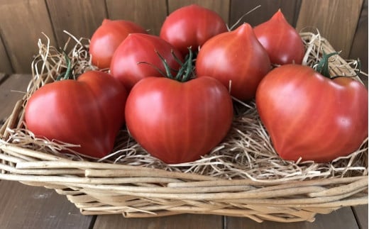 【お試し】たった3ヶ月しか食べられない　幻のファーストトマト 約700g　H004-120