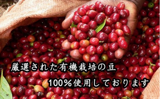 希少！有機栽培の豆100％　ドリップバッグコーヒー ご家庭用(アイス30パックセット)　H046-036