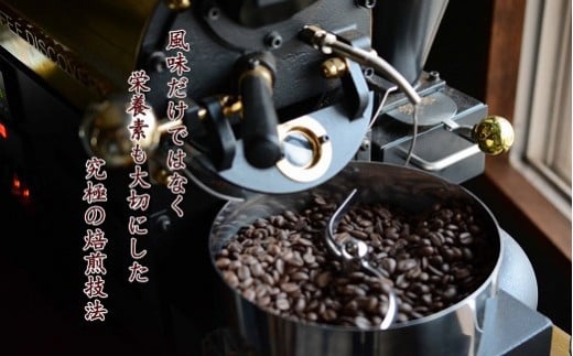 希少！有機栽培の豆100％　ドリップバッグコーヒー(ホット10パック) お試し　H046-037