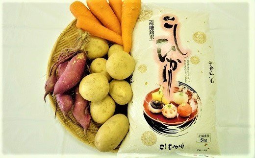 碧南産米と季節の野菜詰合せ　H025-004