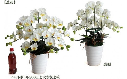 綺麗で丈夫な三河陶器で贈る光触媒胡蝶蘭小輪５本立 白の陶器 白色の花 H100 012 Jalふるさと納税 Jalのマイルがたまるふるさと納税サイト