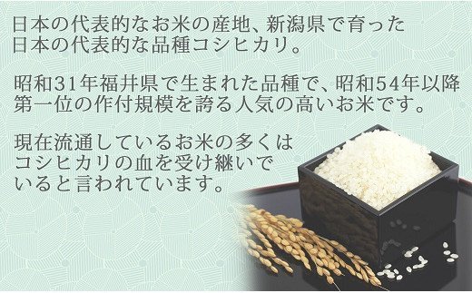 新潟県産コシヒカリ 無洗米 2kg ※6回定期便　安心安全なヤマトライス　H074-212