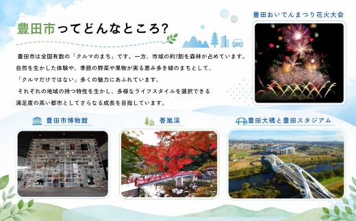 豊田市ゴルフ場利用券5枚(市内16ゴルフ場利用可)