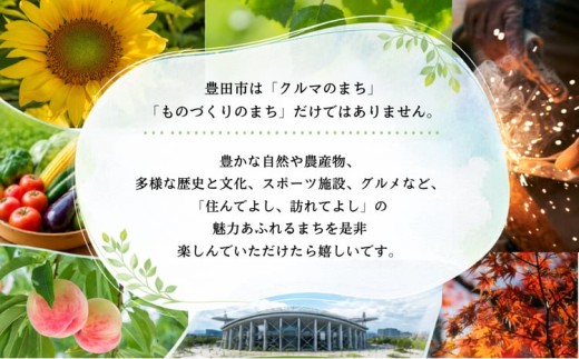 豊田市ゴルフ場利用券5枚(市内16ゴルフ場利用可)