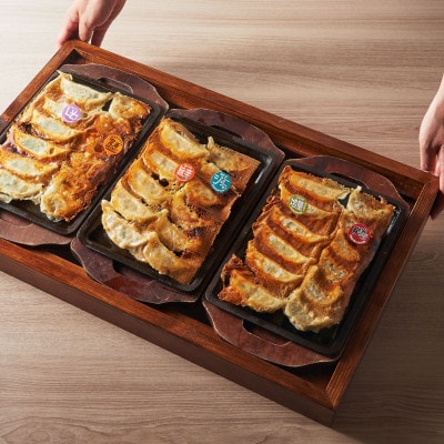 名古屋羽根つき餃子にこにこ餃子安城店と焼肉&味噌とんちゃん屋安城ホルモンのご飲食券【1449734】