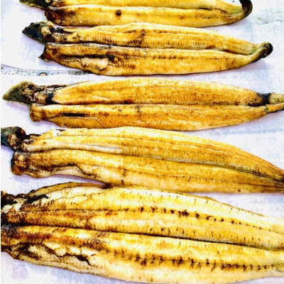 荳画イウ荳濶イ逕」縲縺縺ェ縺守區辟シ縺阪2蟆セ縲宣埼∽ク榊庄蝨ー蝓滂シ夐屬蟲カ縲代1367511縲