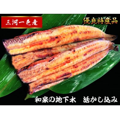 三河一色産　うなぎ白焼き　2尾【配送不可地域：離島】【1367511】