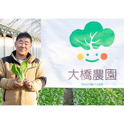 大橋農園のベビーチンゲン菜:3株入り×6袋【配送不可地域：離島】【1364665】