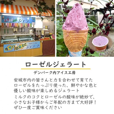 ãã³ããŒã¯å
¥ååž2æ+ããŒãŒã«ãžã§ã©ãŒãåŒæåž2æ+ãã°ã«ããçµµä»ãäœéšåž1æ/æç¥çå®ååžã1686740ã