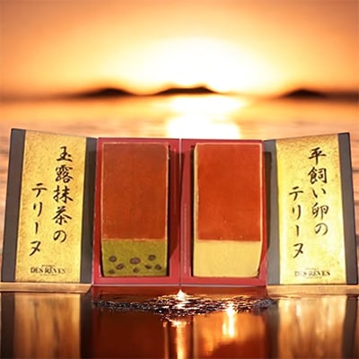 デ・レーヴのカステラ2種の詰め合わせ【配送不可地域：離島】【1103114】