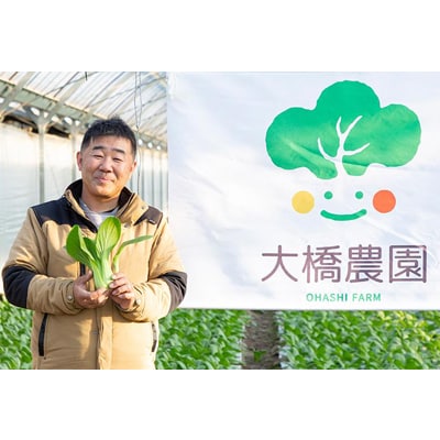 安城市産チンゲン菜フランクフルト5本×2袋【配送不可地域：離島】【1569920】