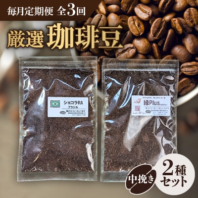 【毎月定期便】お楽しみ　厳選珈琲豆100g　 粉(中挽き)×2種類セット全3回【4004563】