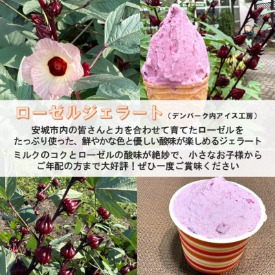 デンパーク入園券2枚+ローゼルジェラート引換券2枚+スノードーム作り体験券1枚/愛知県安城市【1686741】