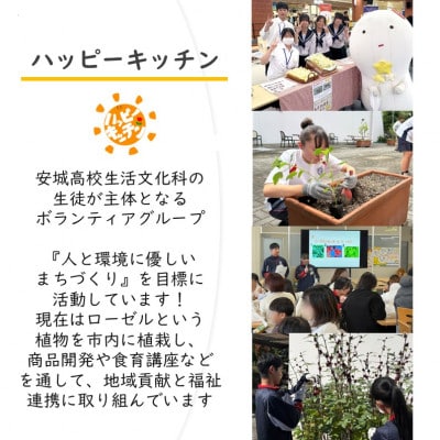 ãã³ããŒã¯å
¥ååž2æ+ããŒãŒã«ãžã§ã©ãŒãåŒæåž2æ+ãã°ã«ããçµµä»ãäœéšåž1æ/æç¥çå®ååžã1686740ã