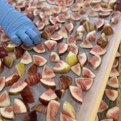 薬膳果水 -yakuzenkasui-【1377393】