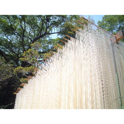 和泉手延べ麺　半生もどし長そうめん・乾ひやむぎ(計19人前)　たつみ麺店(STSSD)【1230118】