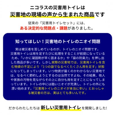 災害用トイレセット100回分【配送不可地域：沖縄県】【1584128】
