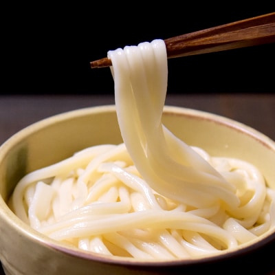 和泉手延べ麺　半生もどし長うどん15人前　たつみ麺店(SDNU5)【1255049】