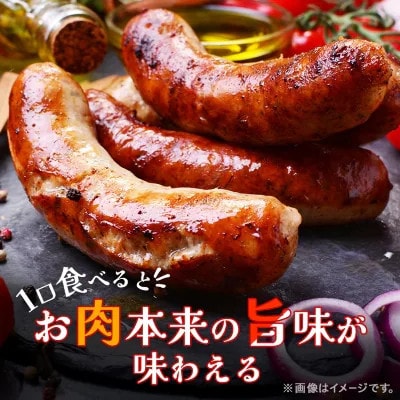 「豚肉を楽しむ」 安城ハム ソーセージ等 5種贅沢詰め合わせ!DJセット　デンパークハム工房内製造【配送不可地域：離島】【1632733】