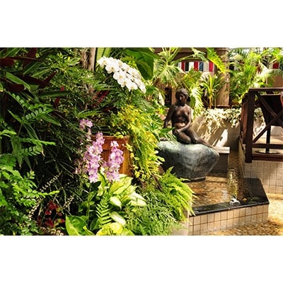 å®åç£æ¥æåå
¬åãã³ããŒã¯ãå
¥åãã±ãã(4åæ§å)ã1116228ã