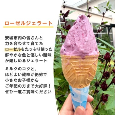 デンパーク入園券2枚+ローゼルジェラート引換券2枚+パン作り体験券1枚/愛知県安城市【1686739】