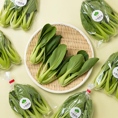 大橋農園のベビーチンゲン菜:3株入り×6袋【配送不可地域：離島】【1364665】