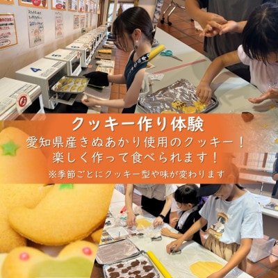 デンパーク入園券2枚+ローゼルジェラート引換券2枚+クッキー作り体験券1枚/愛知県安城市【1686742】