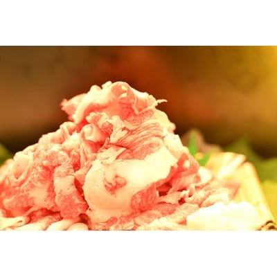 愛知県安城市産　安城和牛　切り落とし　300g×2パック【配送不可地域：離島】【1141447】