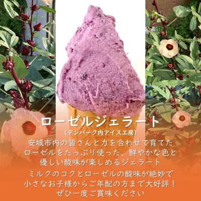 デンパーク入園券2枚+ローゼルジェラート引換券2枚+クッキー作り体験券1枚/愛知県安城市【1686742】