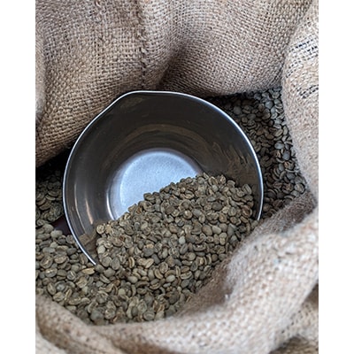 【毎月定期便】お楽しみ　厳選珈琲豆100g(豆のまま)×2種類セット全3回【4004562】