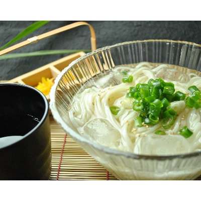 和泉手延べ麺　半生もどし長そうめん・乾ひやむぎ(計19人前)　たつみ麺店(STSSD)【1230118】
