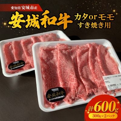 愛知県安城市産　安城和牛　カタまたはモモすき焼き用　300g×2パック【配送不可地域：離島】【1141446】